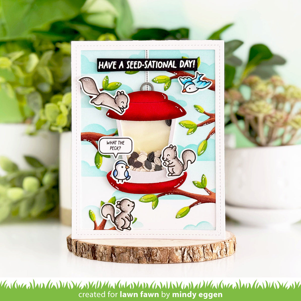 build-a-bird feeder