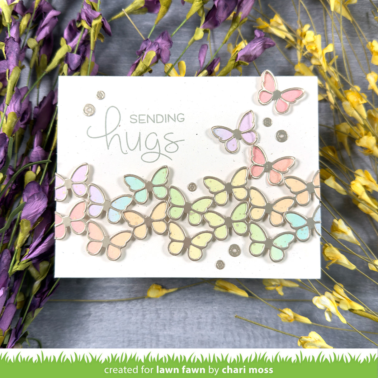 butterfly border