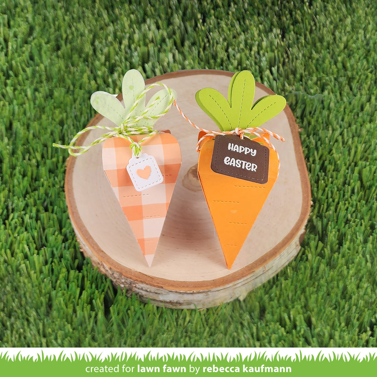 carrot treat box