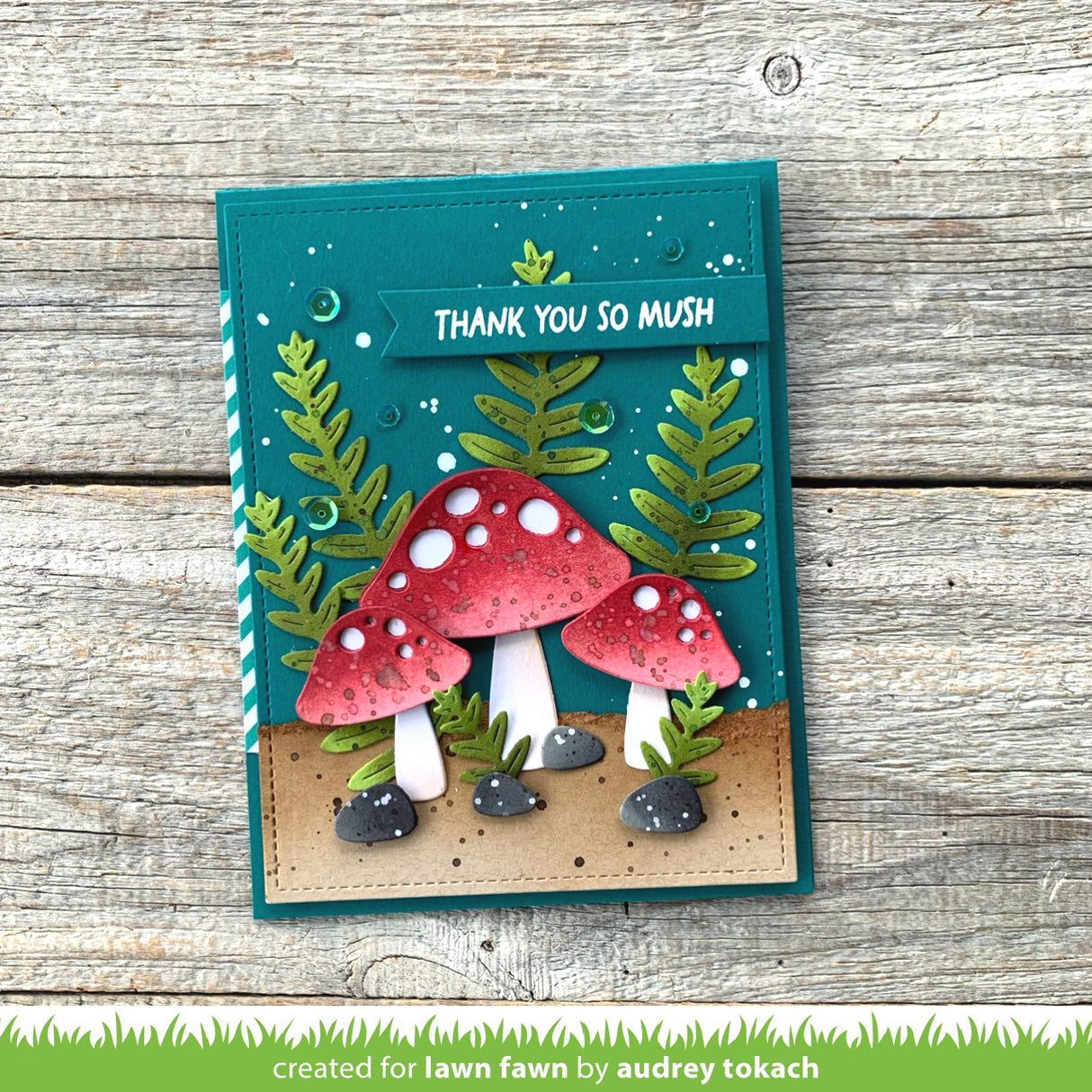 happy mushrooms