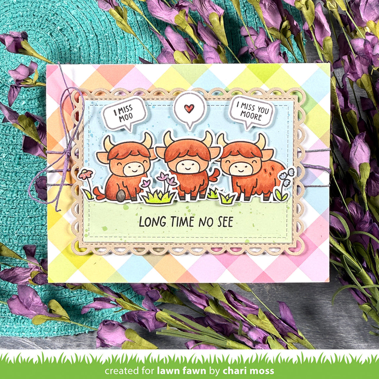 highland cows!