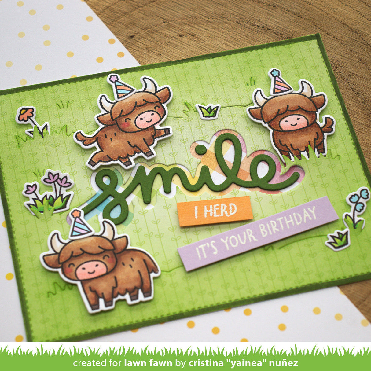 highland cows!
