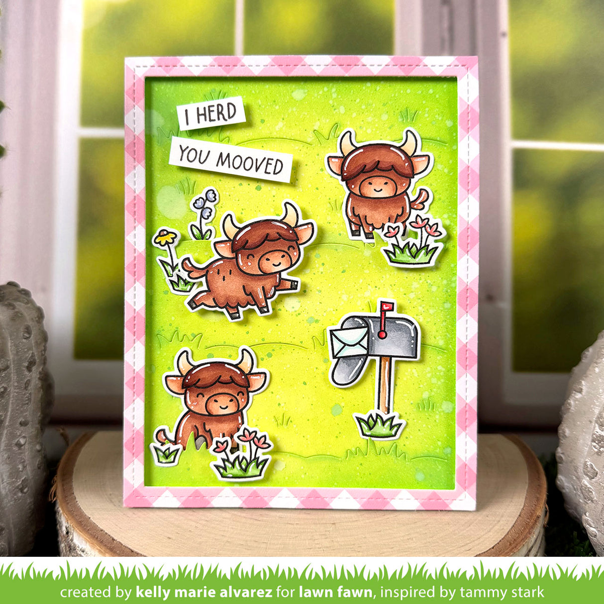 highland cows!
