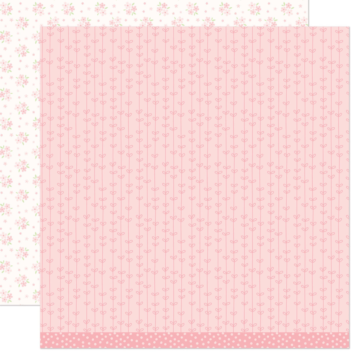 camellia