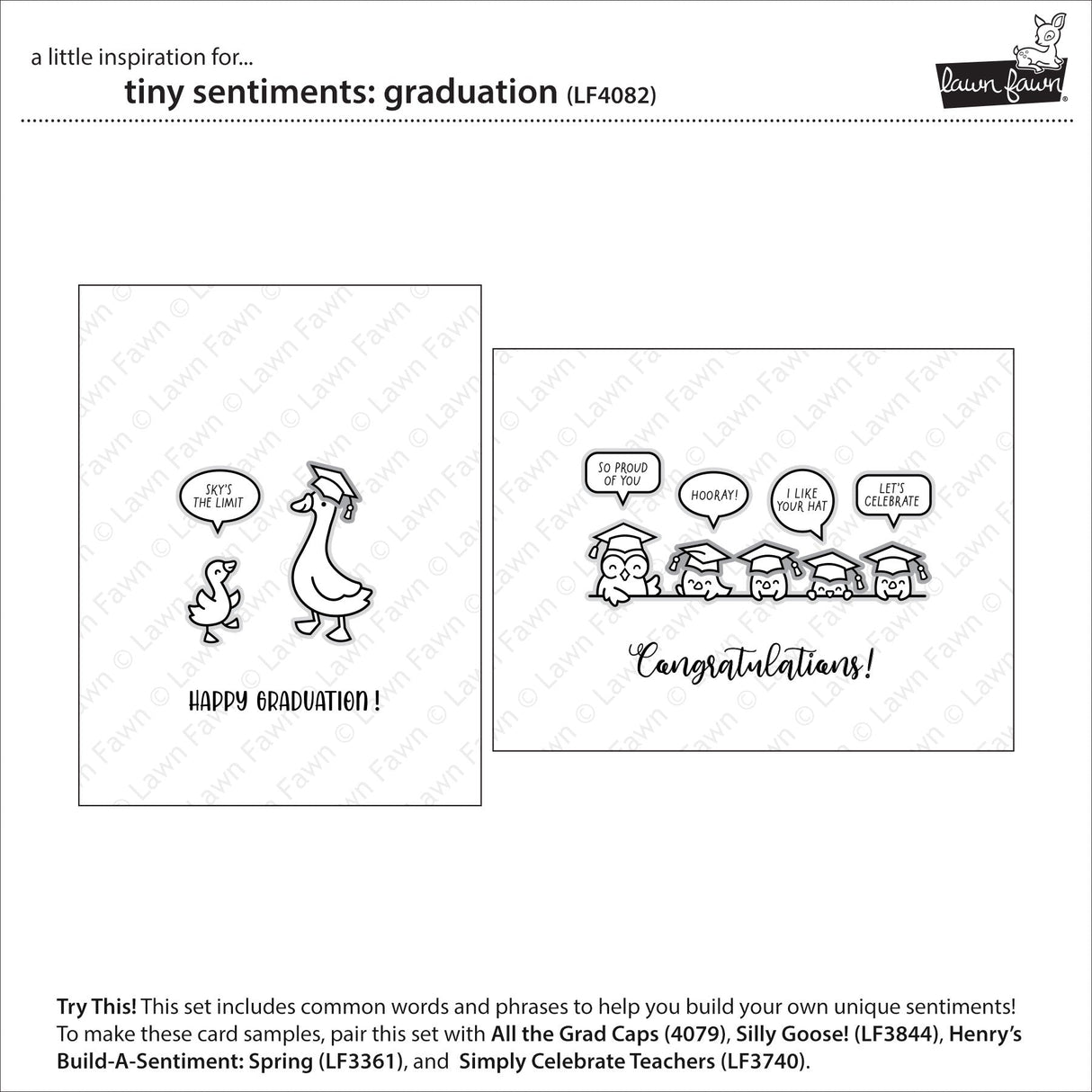 tiny sentiments: graduation
