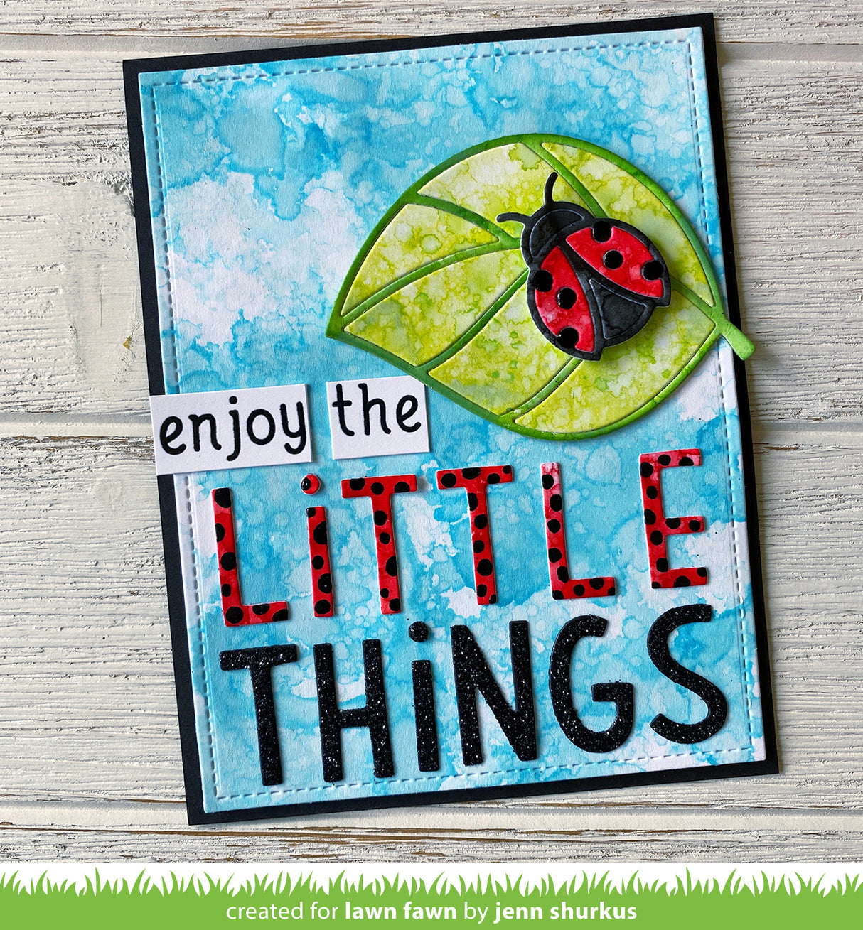 ladybug and leaf