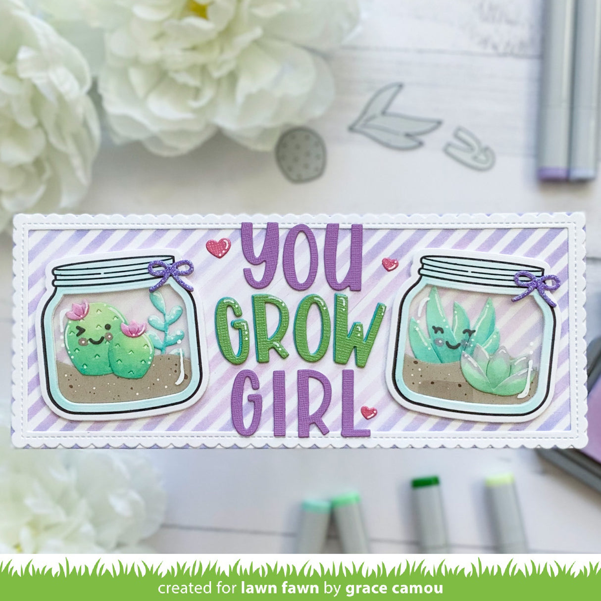 plant-a-succulent