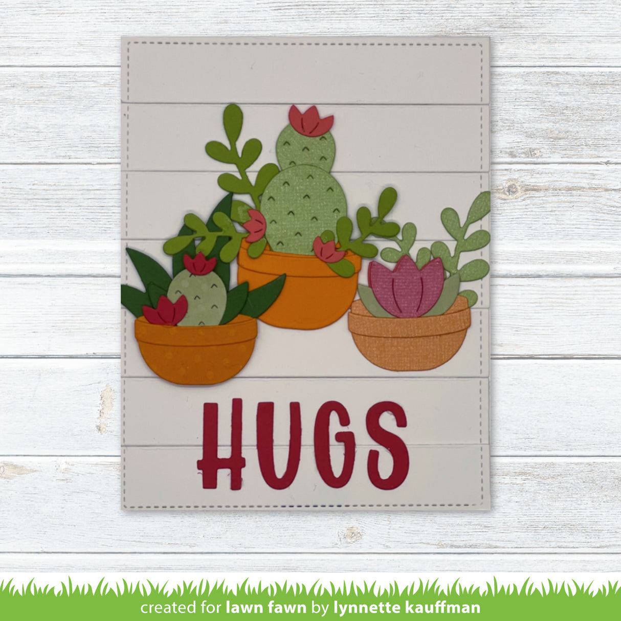 plant-a-succulent