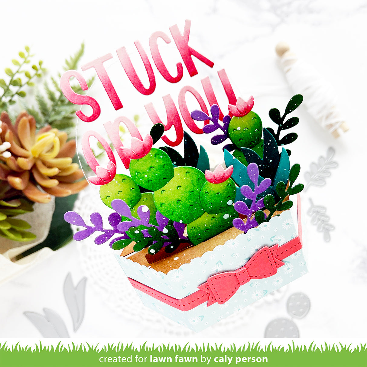 plant-a-succulent