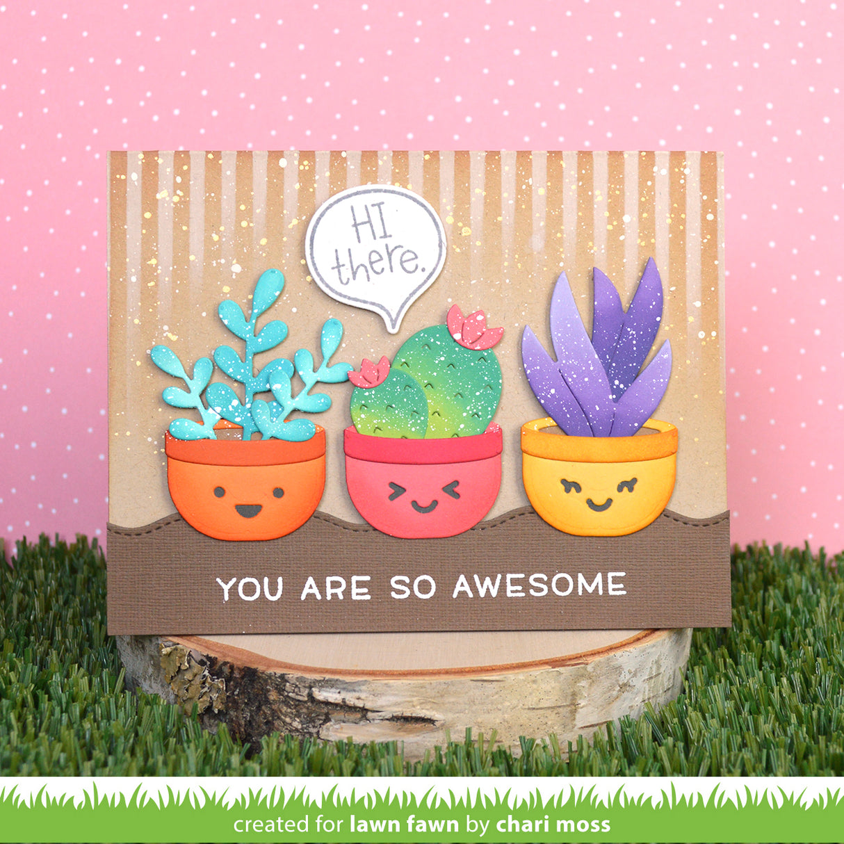 plant-a-succulent