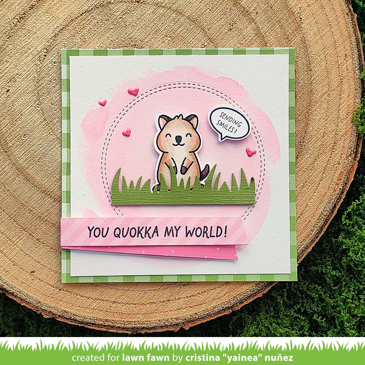 quokka my world