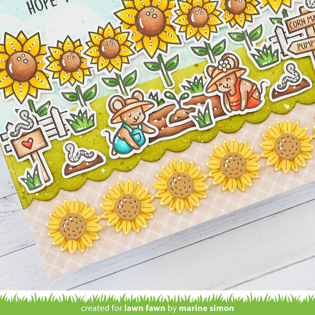 sunflower border