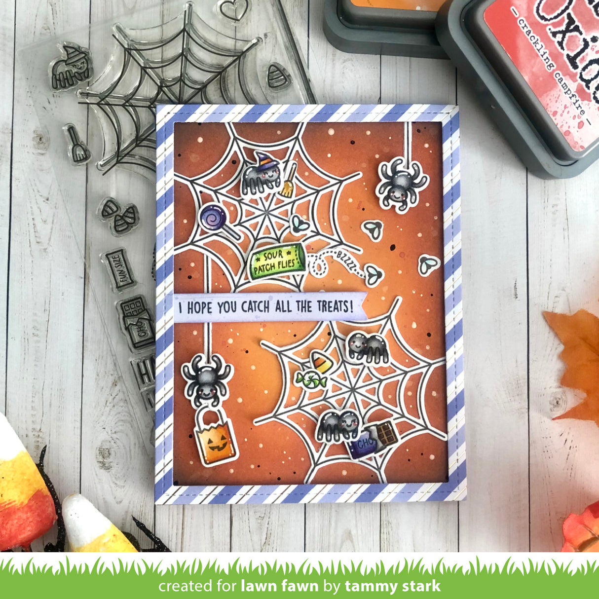 sweet spiders