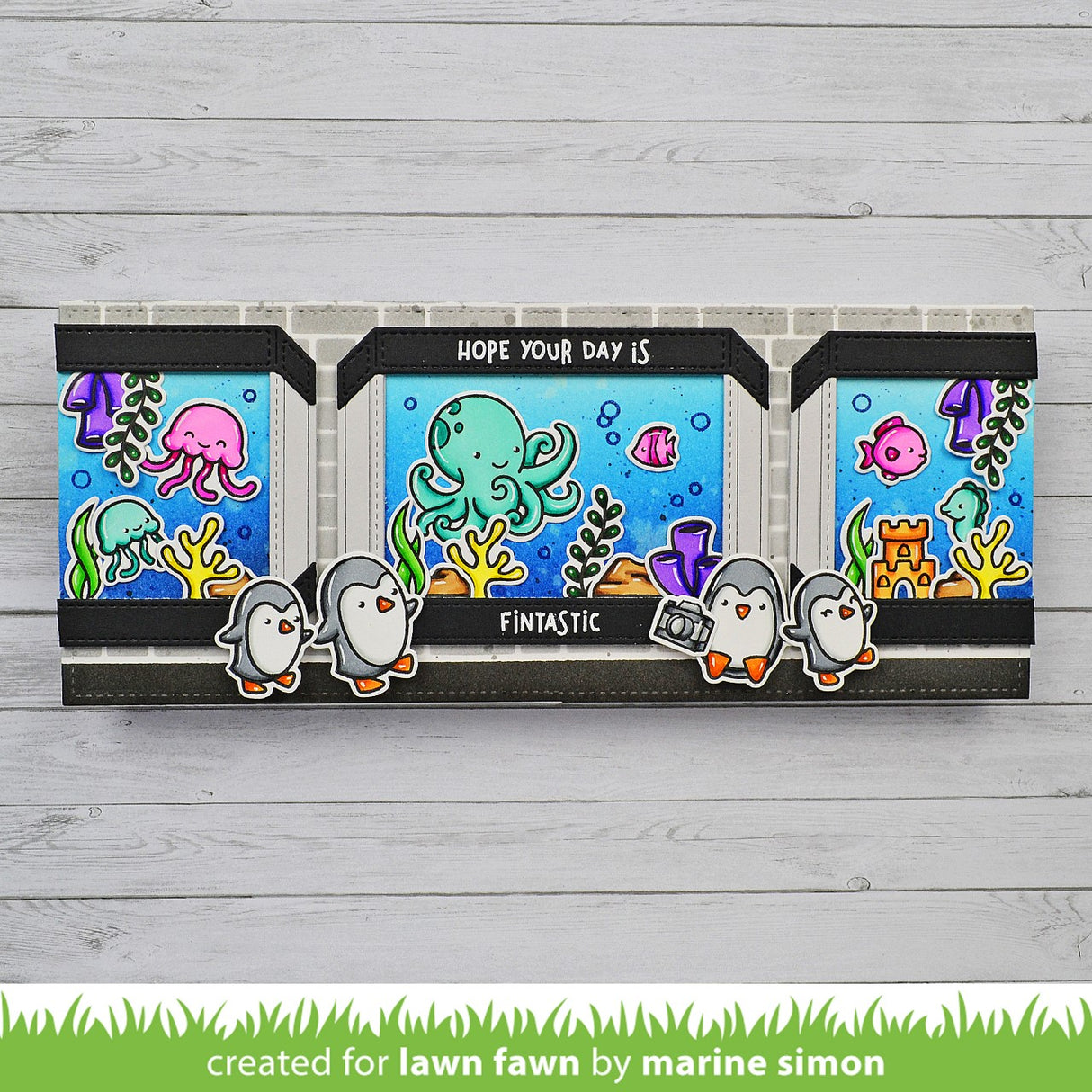 build-an-aquarium