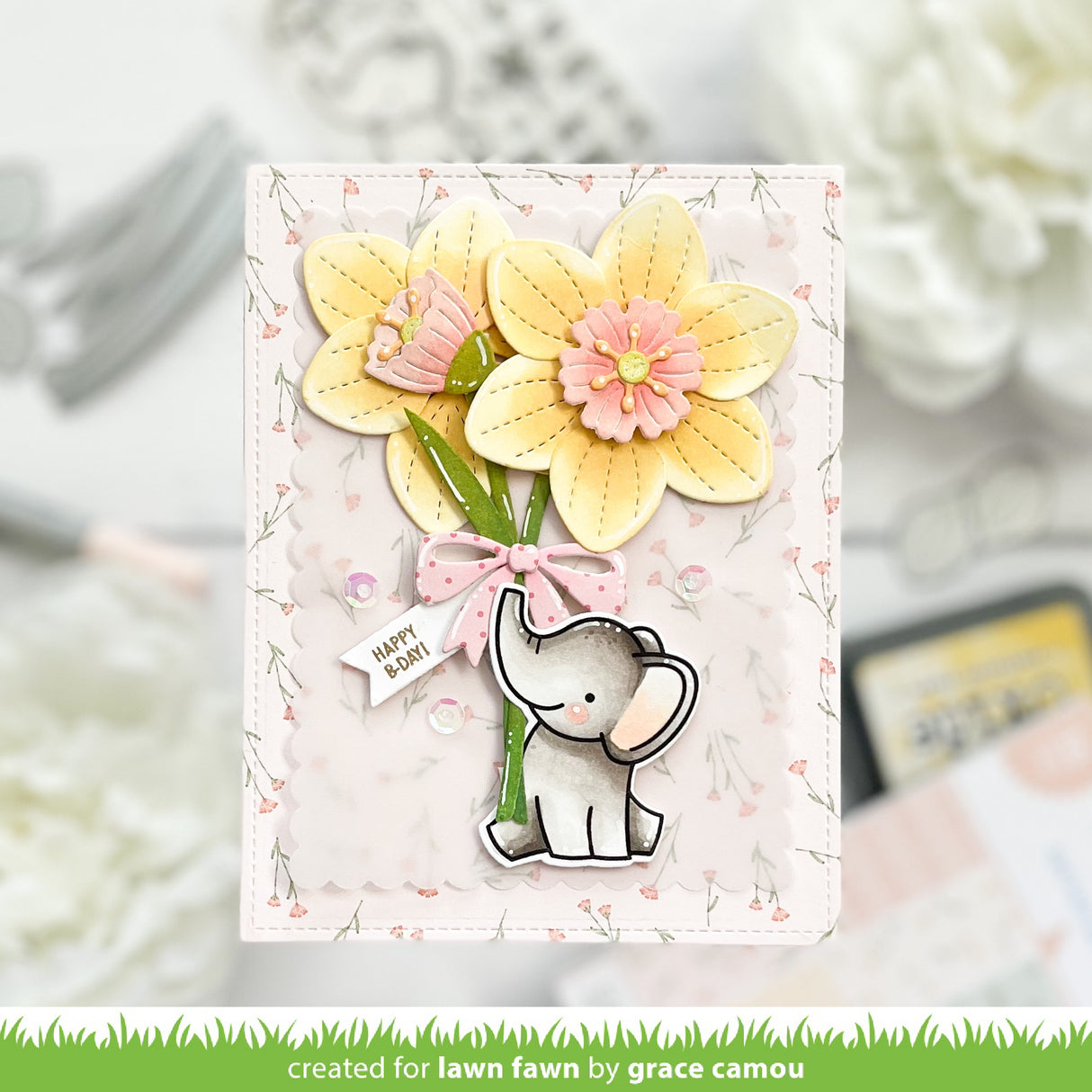 darling daffodils