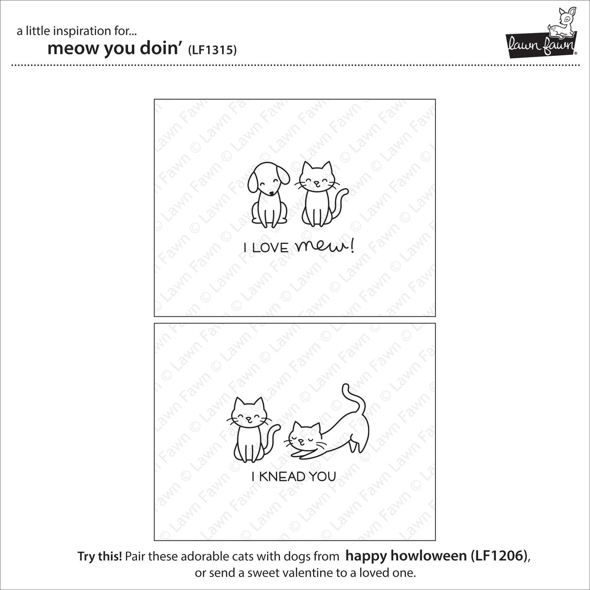 meow you doin'