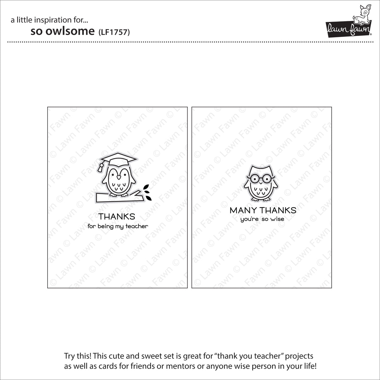 _so owlsome_