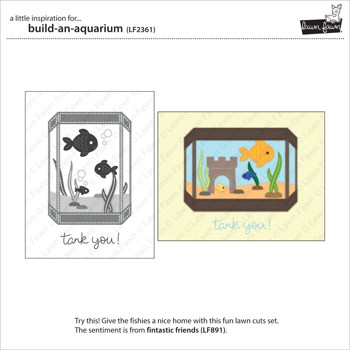 build-an-aquarium