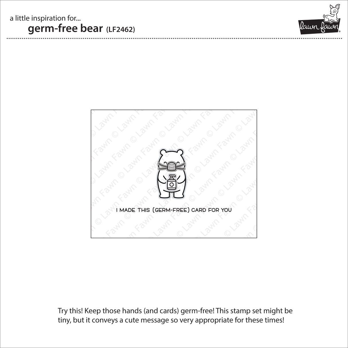 _germ-free bear_
