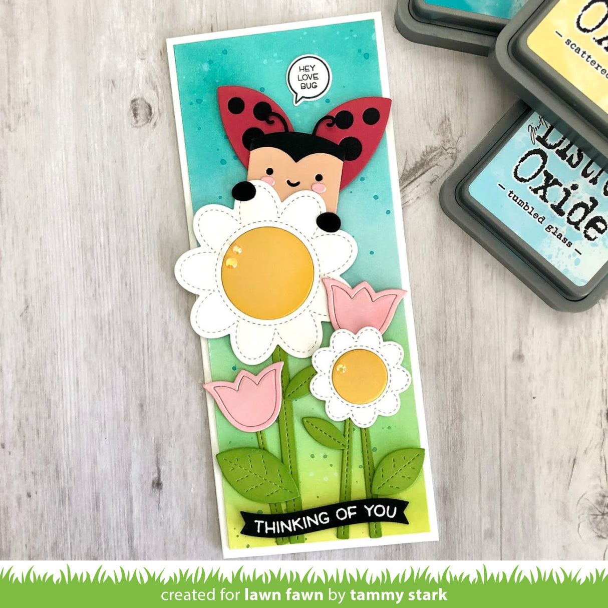 tiny gift box ladybug add-on
