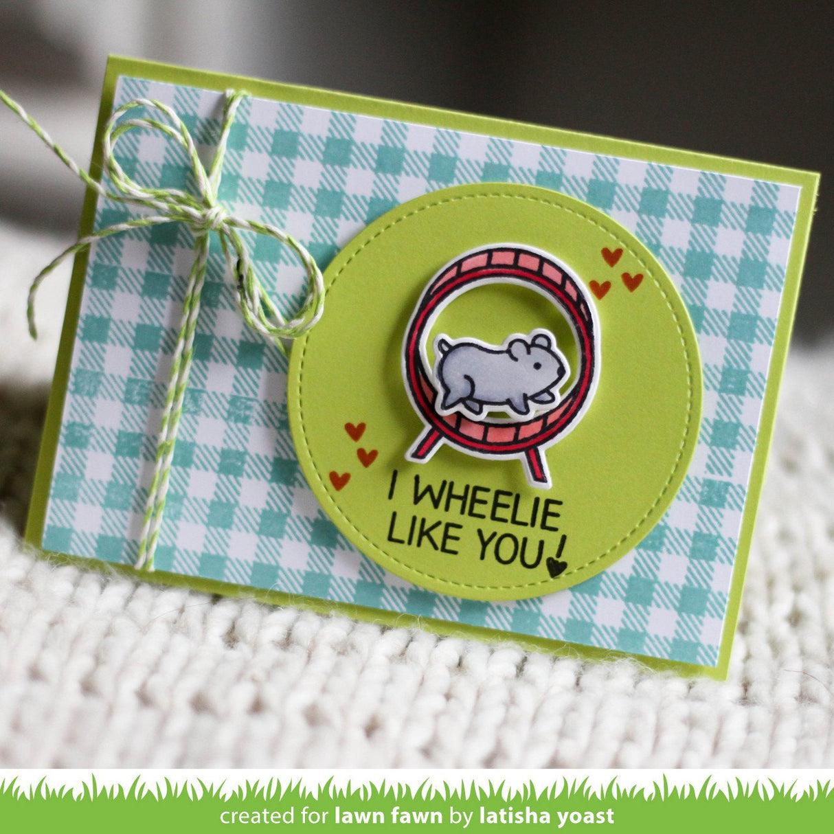 gingham backdrops