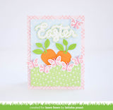 butterfly border
