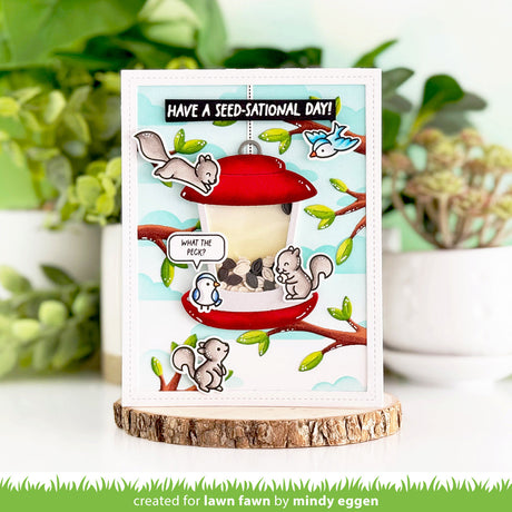 build-a-bird feeder