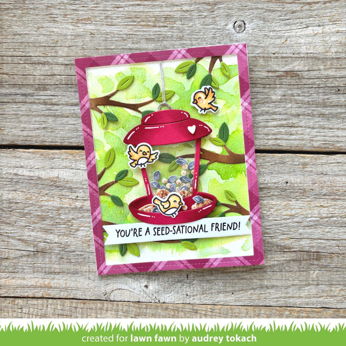 build-a-bird feeder