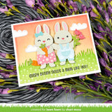 build-a-bunny accessories