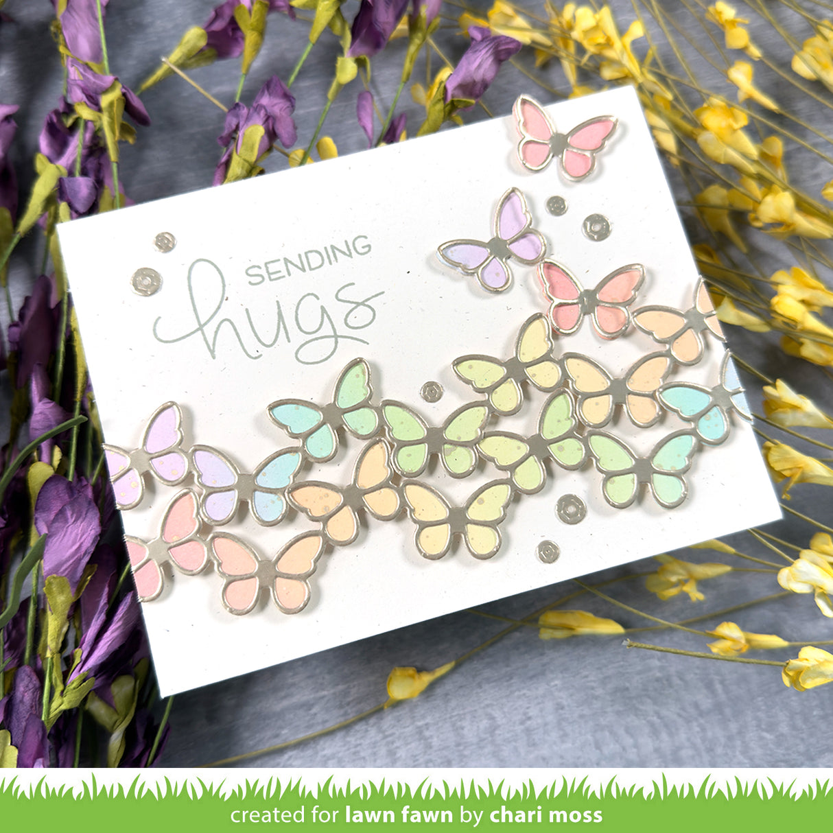 butterfly border