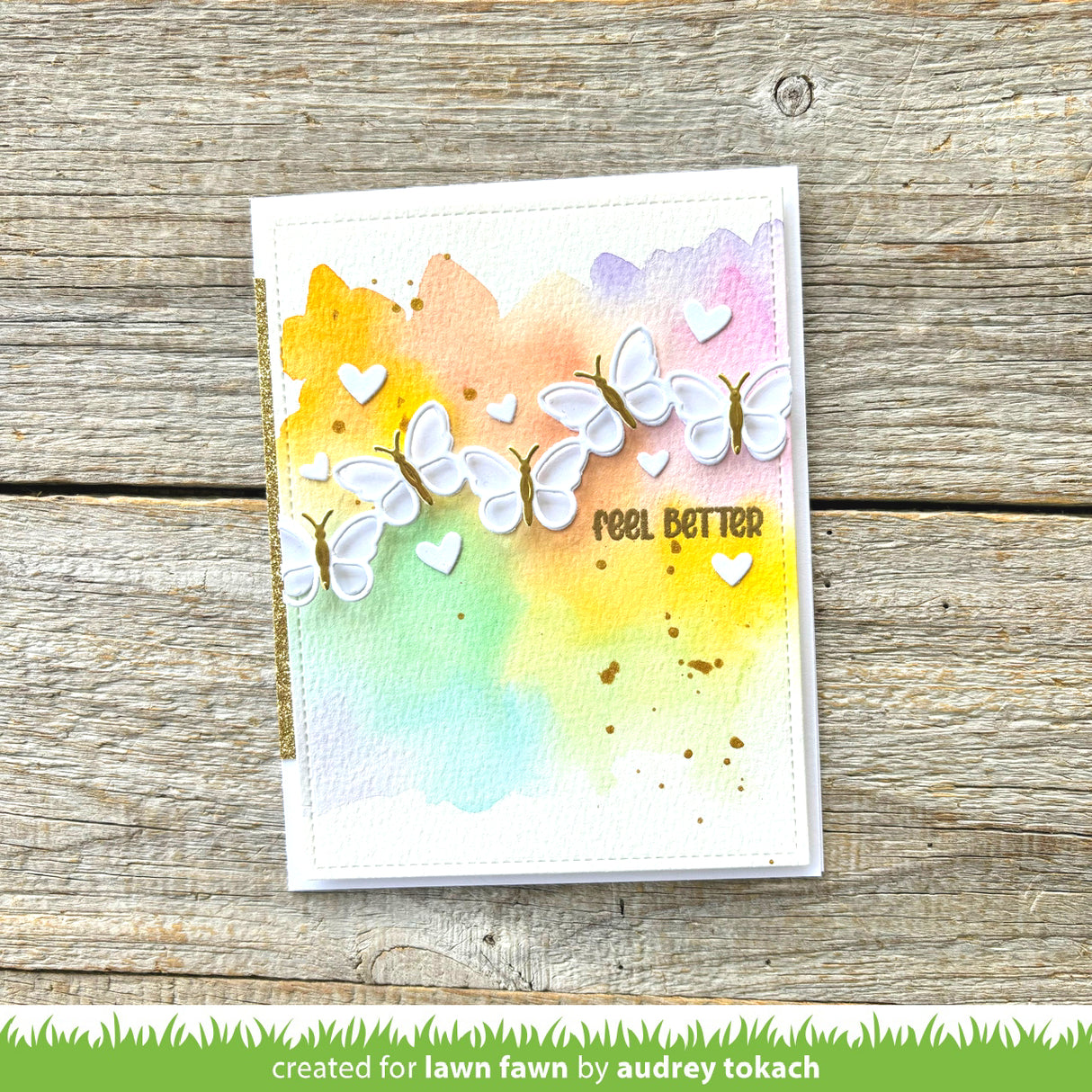 butterfly border