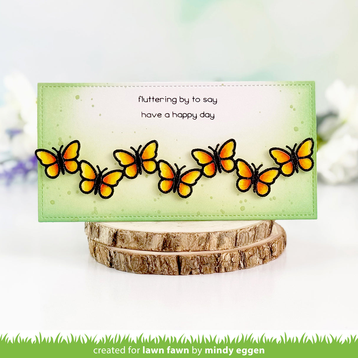 butterfly border