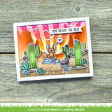 desert canyon backdrop
