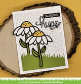 delightful daisy
