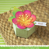 zinnia