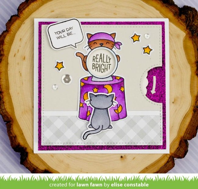 fortune teller tabby
