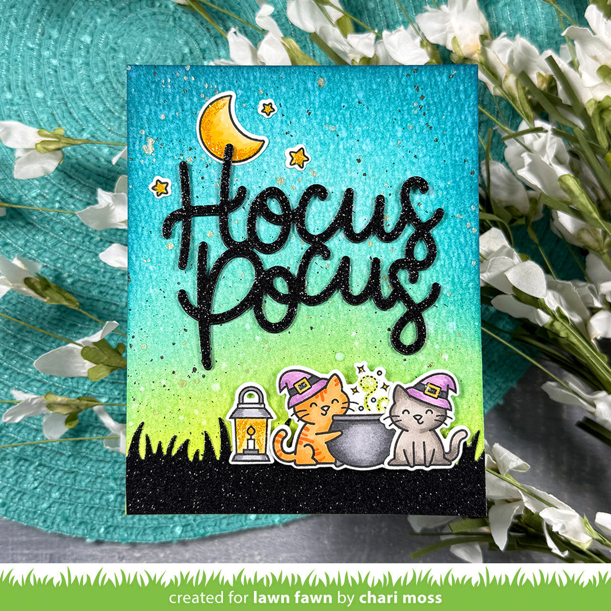 hocus purr-cus!