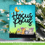 hocus purr-cus!