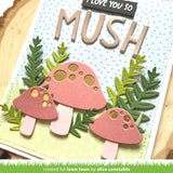 happy mushrooms