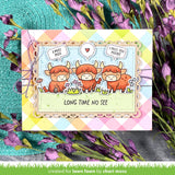 highland cows!