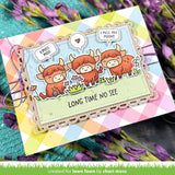 highland cows!
