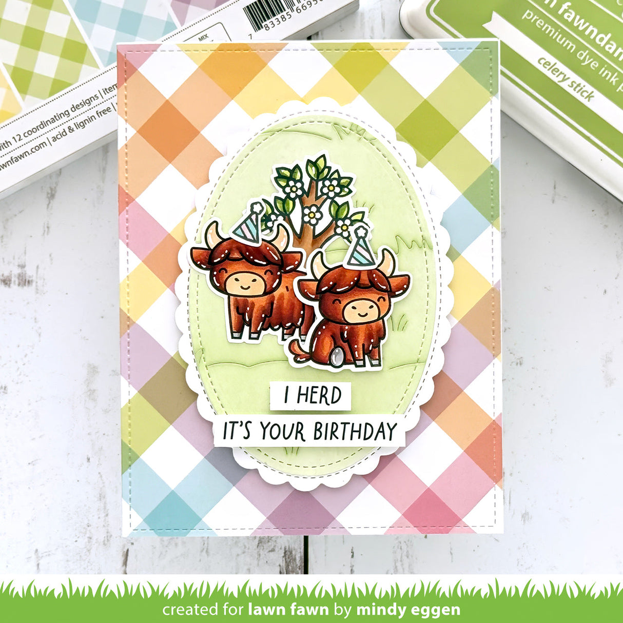 highland cows!