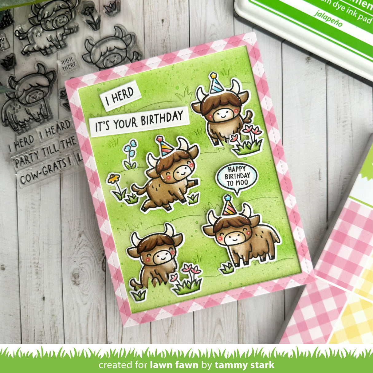 highland cows!