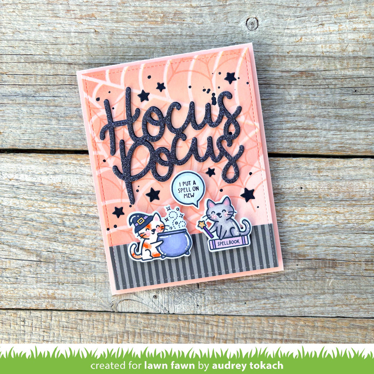 hocus purr-cus!