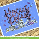 hocus purr-cus!