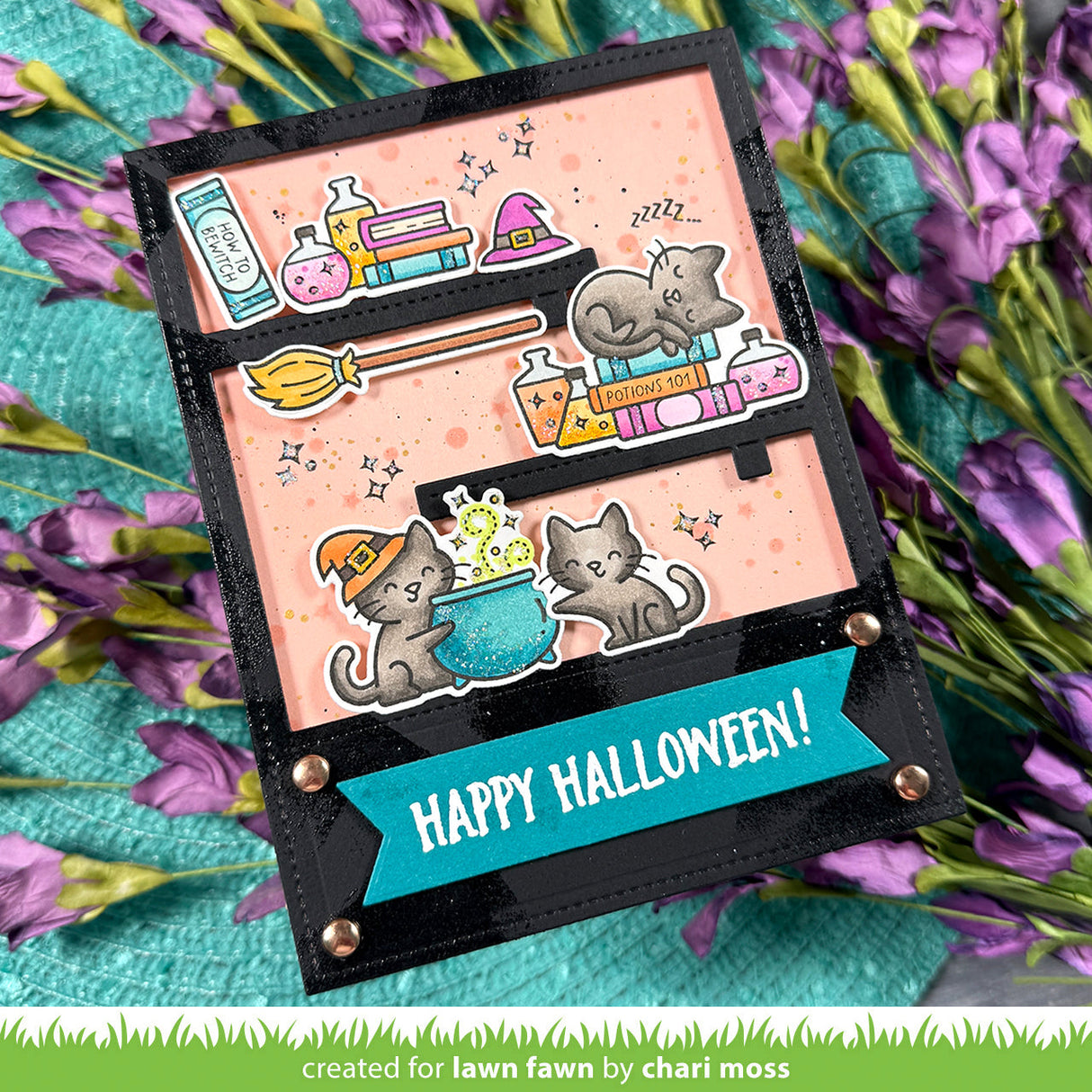 hocus purr-cus!