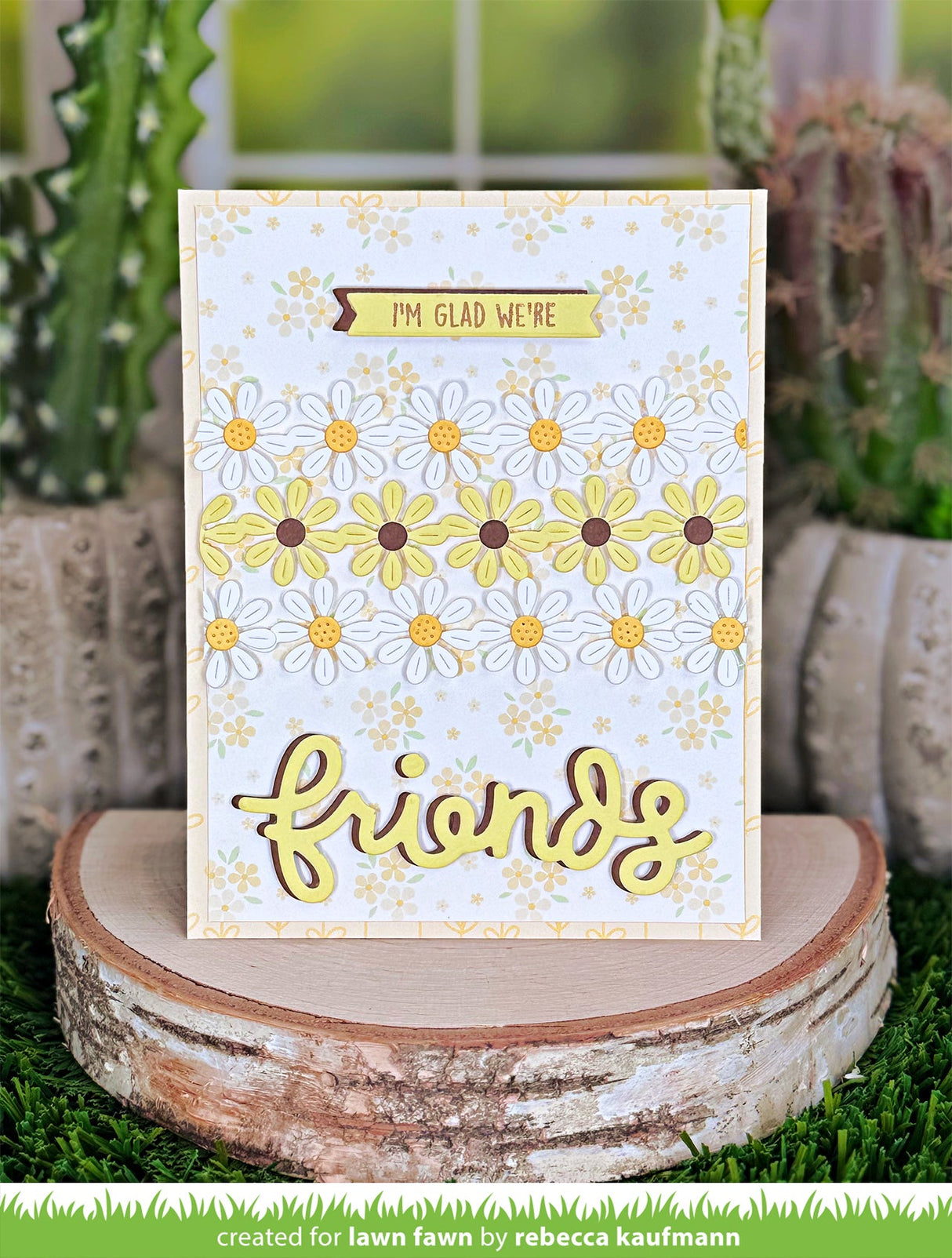 daisy border