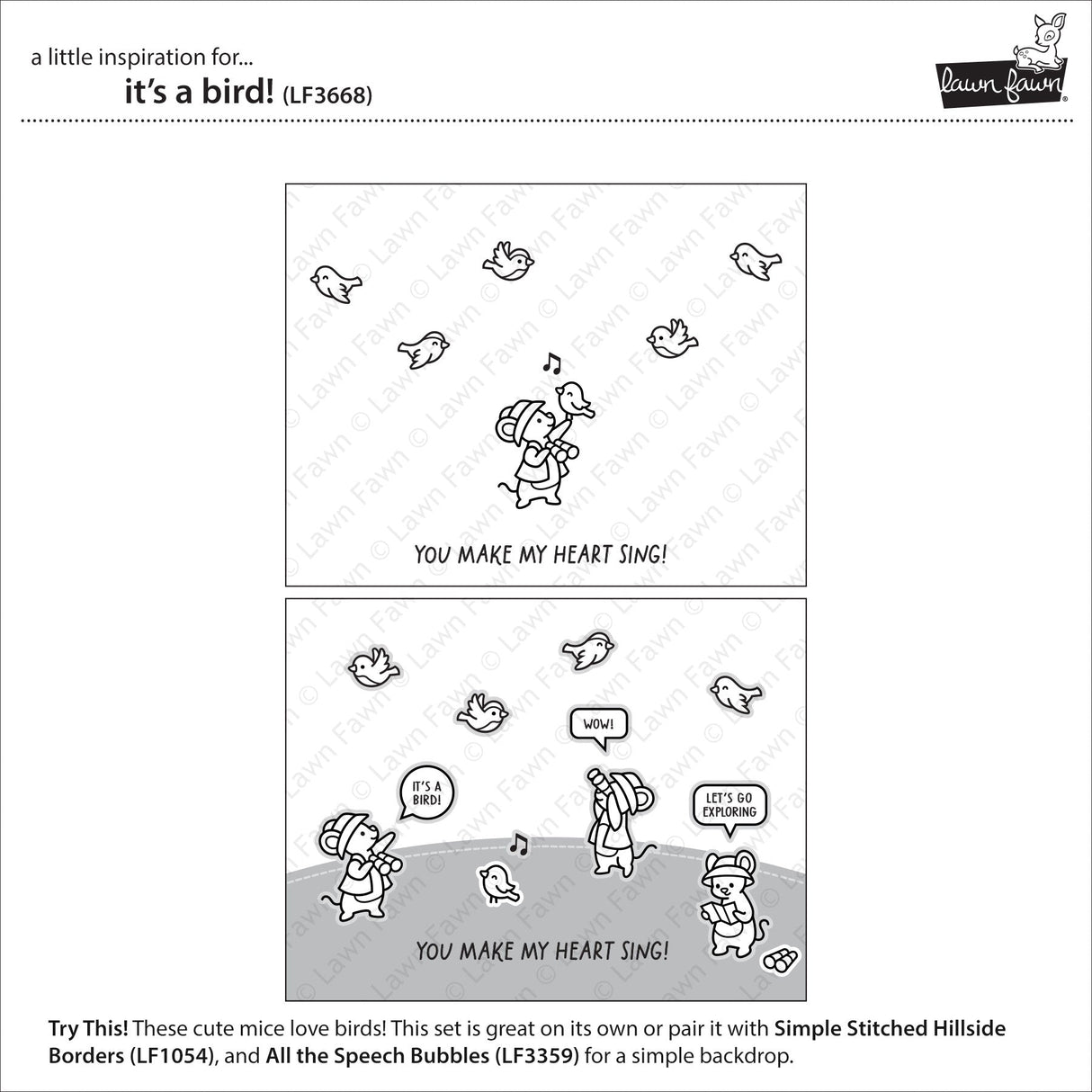 it's a bird!