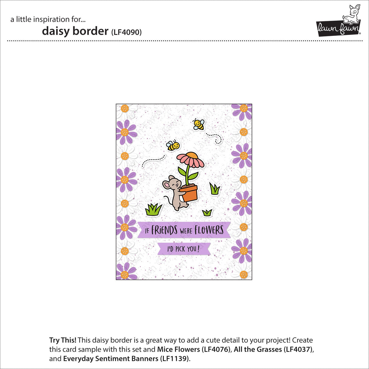daisy border