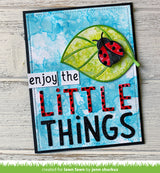 ladybug and leaf